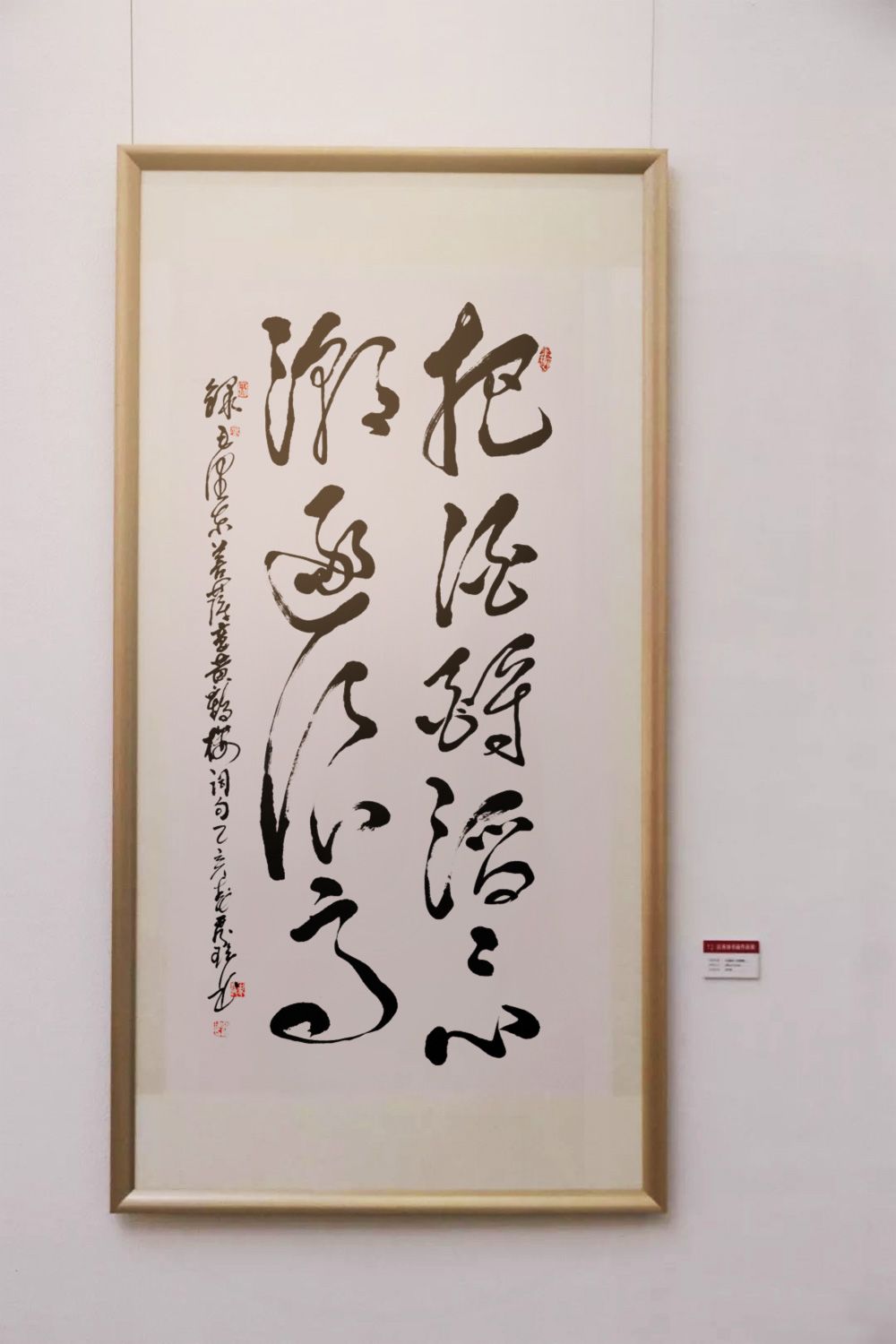 不忘初心田秀珍书画展书法作品毛主席诗词《把酒酹滔滔心潮逐浪高》